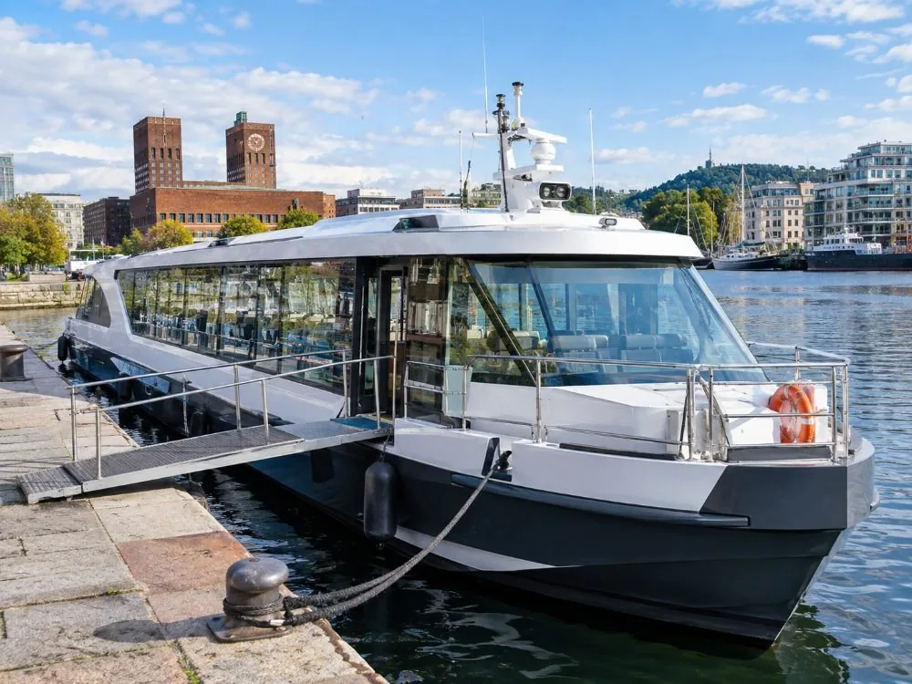 Oslo: 2-stündige elektrische Oslofjord-Besichtigungstour mit Audioguide